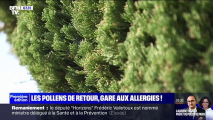Douceur hivernale: le pollen fait son retour, douze départements en vigilance rouge