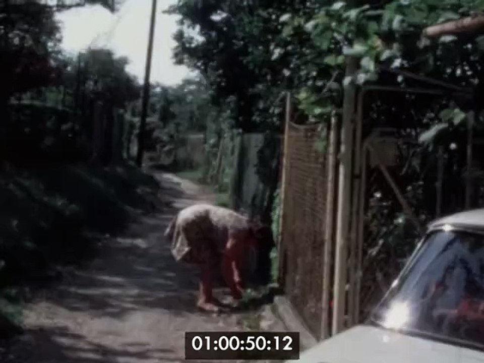 Roué Francis-Villeneuve-Michel dans les arbres