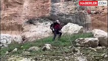 İtfaiye eri kayalıklarda kurtardığı keçiyi sırtında taşıyarak indirdi