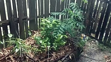 Water as the Source of Life 1