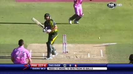 Boom Boom Afridi 158 meter long six
