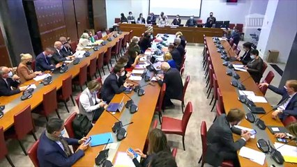 PLF 2022, crédits de la mission "travail & emploi" | Intervention de Dominique Da Silva