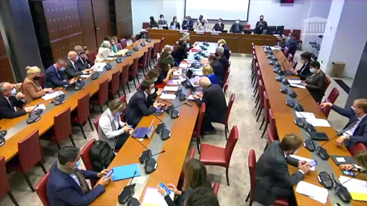PLF 2022, crédits de la mission "travail & emploi" | Intervention de Dominique Da Silva