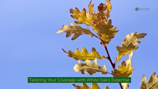 Securing Your Foundation: Navigating Home Insurance Type A with White Oak Insurance Services