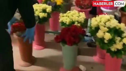 Bursa'da Bonzai Operasyonu: 2,5 Kilo Ham Madde Ele Geçirildi