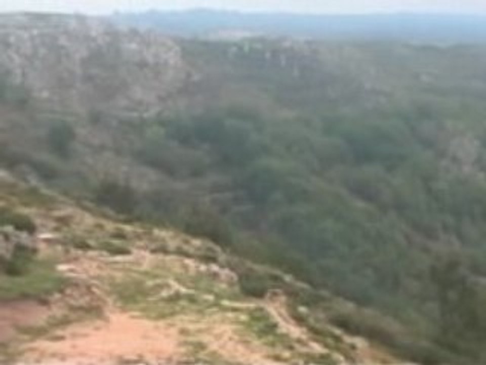 Jangal VI : Effet de Cerf