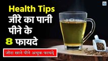 Jeera Water Benefits रोजाना करें जीरे के पानी का सेवन, मिलेंगे ये गजब के फायदे | Jeera Pani Ke Fayde