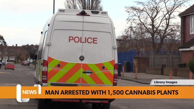 Bristol February 09 Headlines: Man arrested with over 1,500 cannabis plants