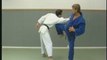 Ju-Jitsu : progression par ceinture