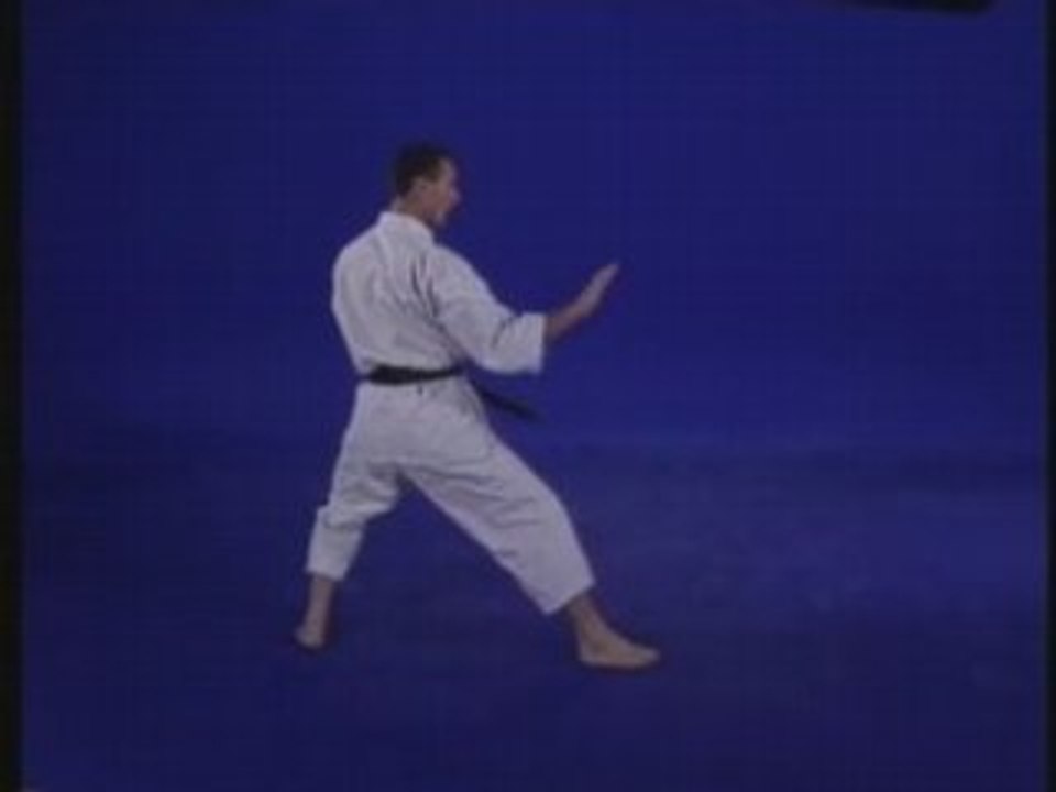 Karate 1 : Kata de base, avances