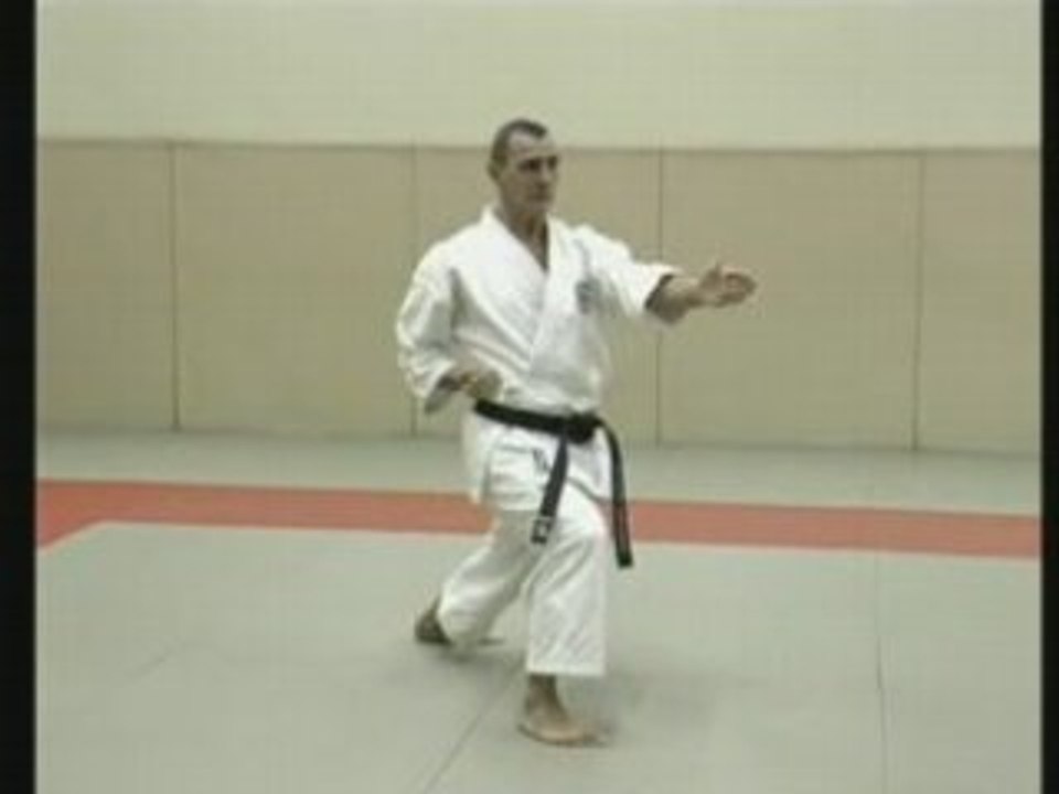 Karate 2 : Techniques et combat