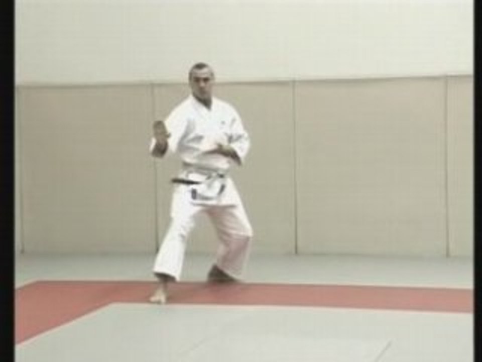 Karate 3 : Katas heian et applications