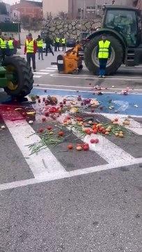 Las virales imágenes de unos agricultores tirando productos marroquíes y pasando un tractor por encima