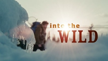 Discover the Hidden Depths of 'Into The Wild' | Just Films & That 🎬