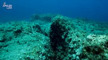 New Study Reveals That the Pacific Ocean Floor Is Being Ripped Apart