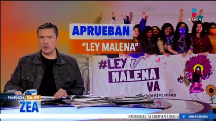 El Congreso de la CDMX aprueba la "Ley Malena"