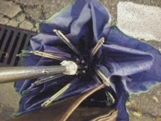 Recopilación mi taller 5