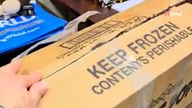 Video: Il volontario arriva al rifugio di prima mattina e trova una scatola abbandonata con qualcuno dentro