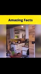 Top 3 Amazing Facts Awesome#facts #shorts#FactBeast #viral #hindifacts