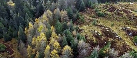 The Isle Bande-annonce (EN)