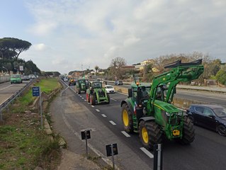 Agricoltori, Paolacci: "Bene la protesta. Preoccupante per? il distacco delle istituzioni"