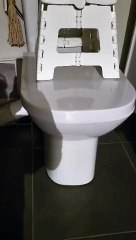 Elle découvre un rat dans ses toilettes en Dordogne