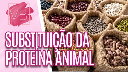 LEGUMINOSAS substituindo a PROTEÍNA ANIMAL- Você Bonita (09/02/2024)