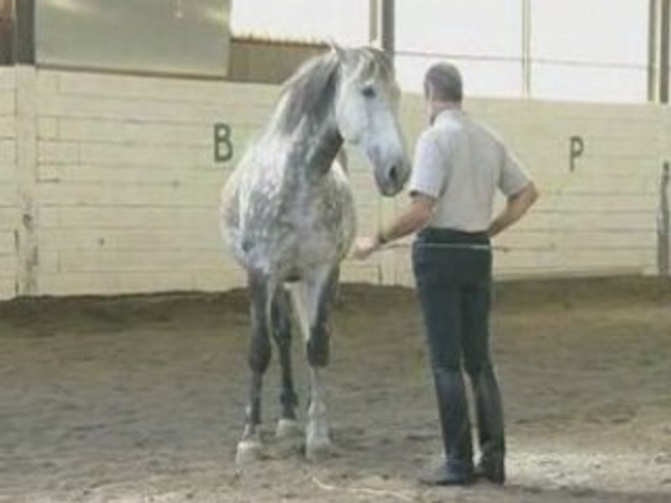 L'art du dressage du cheval