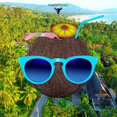 El coco cultivo y produccion de una fruta exotica y tropical