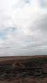 A flock of migratory birds in Jordan