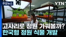 고사리로 정원 가꿔볼까?...한국형 정원 식물 개발 / YTN