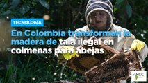 En Colombia transforman la madera de tala ilegal en colmenas para abejas