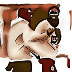 Dortmund tenu en échec par Heidenheim en Bundesliga