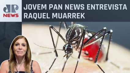 Infectologista analisa alto crescimento de casos de dengue no Brasil