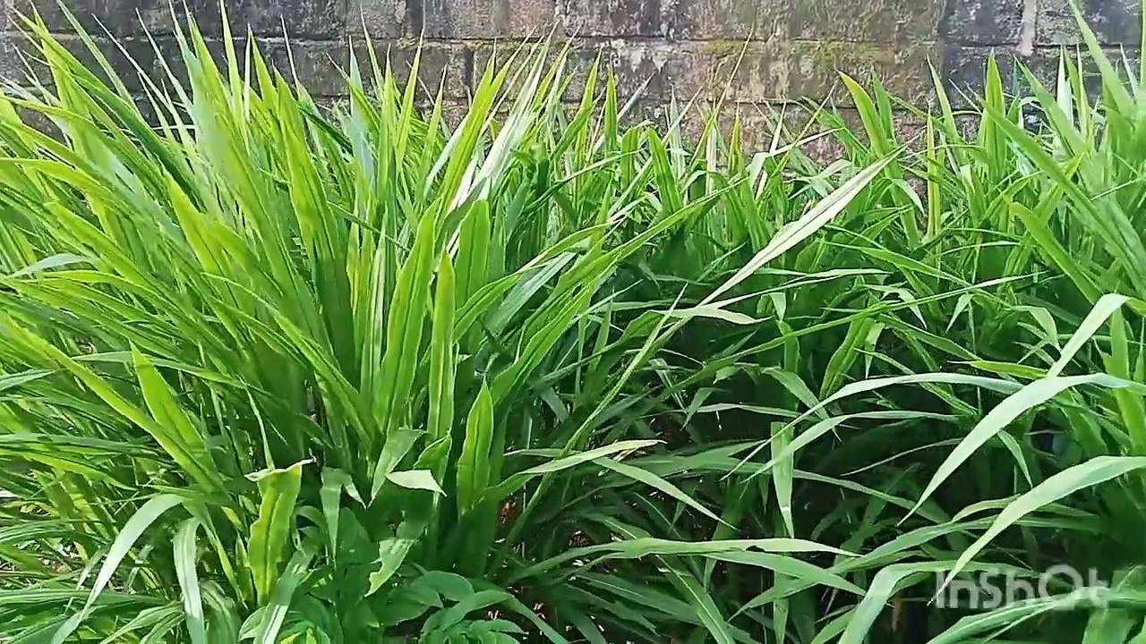 Furniture production process using available tools