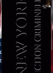 Law & Order:  Criminal Intent S8 Intro