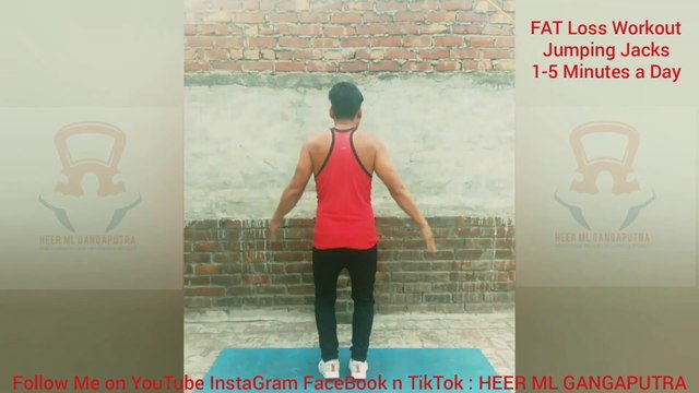 ❌ JUMPING JACKS ✔️ Best FAT LOSS Workout at Home #heermlgangaputra #naturalbodybuilding