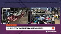 Recovery efforts continue after devastating wildfires in Chile