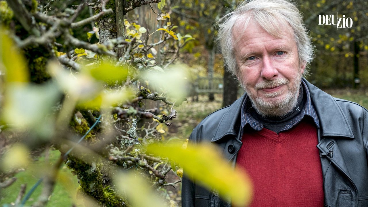 Travaux du jardin - 10 février 2024 : les pois de senteur