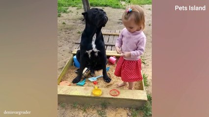 Things cannot be said between dog and ownerFUNNIEST DOGS AND HUMAN