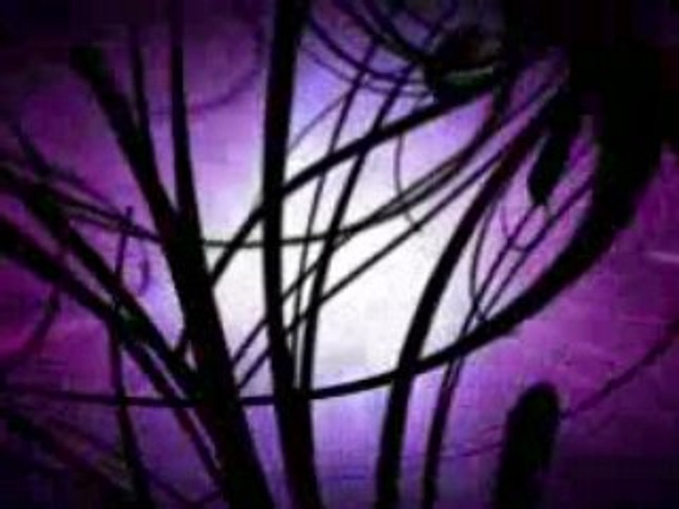 Saints Row 2 teaser final