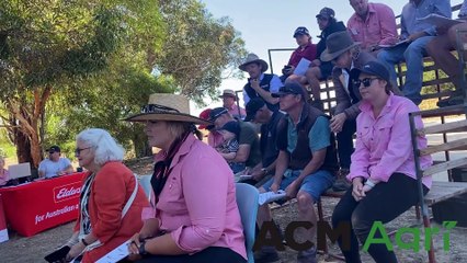 Keringa top bull - Stock Journal - Feb 10, 2024