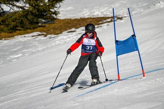 West Wales athletes win a clutch of medals at the inaugural Special Olympics Great Britain National Winter Games