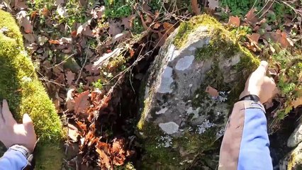 Define Kasalarını Açtıkça Sezariuslar Fışkırdı !!!