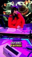 Covoiturage de colis