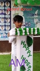 celebration of independence day 2023 at decent school