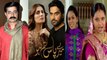 Sushant Singh ने दुश्मन देश Pakistan के Dramas को बताया Indian Serials से अच्छा, Fans ने किया React