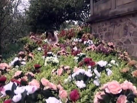 THỜI NIÊN THIẾU CỦA BAO THANH THIÊN - PHẦN 2 - Tập 25