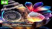 Serenity Soundscape: Relaxing Meditation Music Mind Relax Music, Stress-Free Music, Meditation Music, Relaxing Music, Calming Sounds,