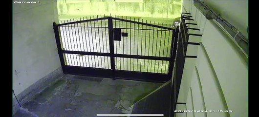 Ladro acrobata in azione